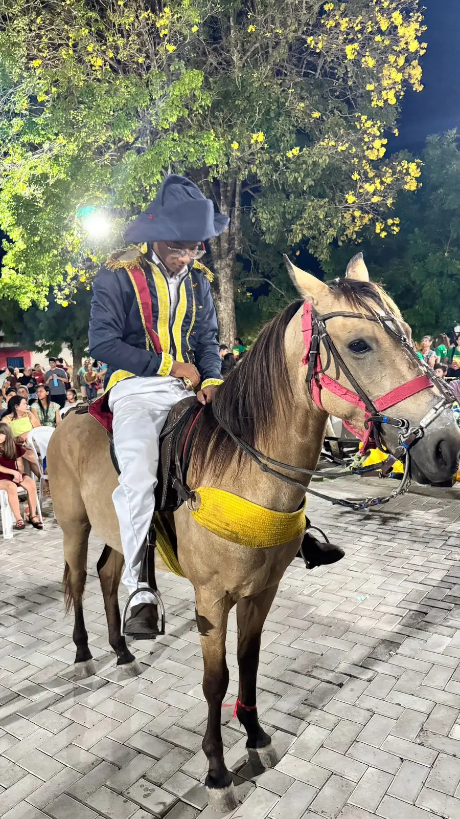 Foto 17 – Desfile Cívico celebra a Independência do Brasil em Beneditinos