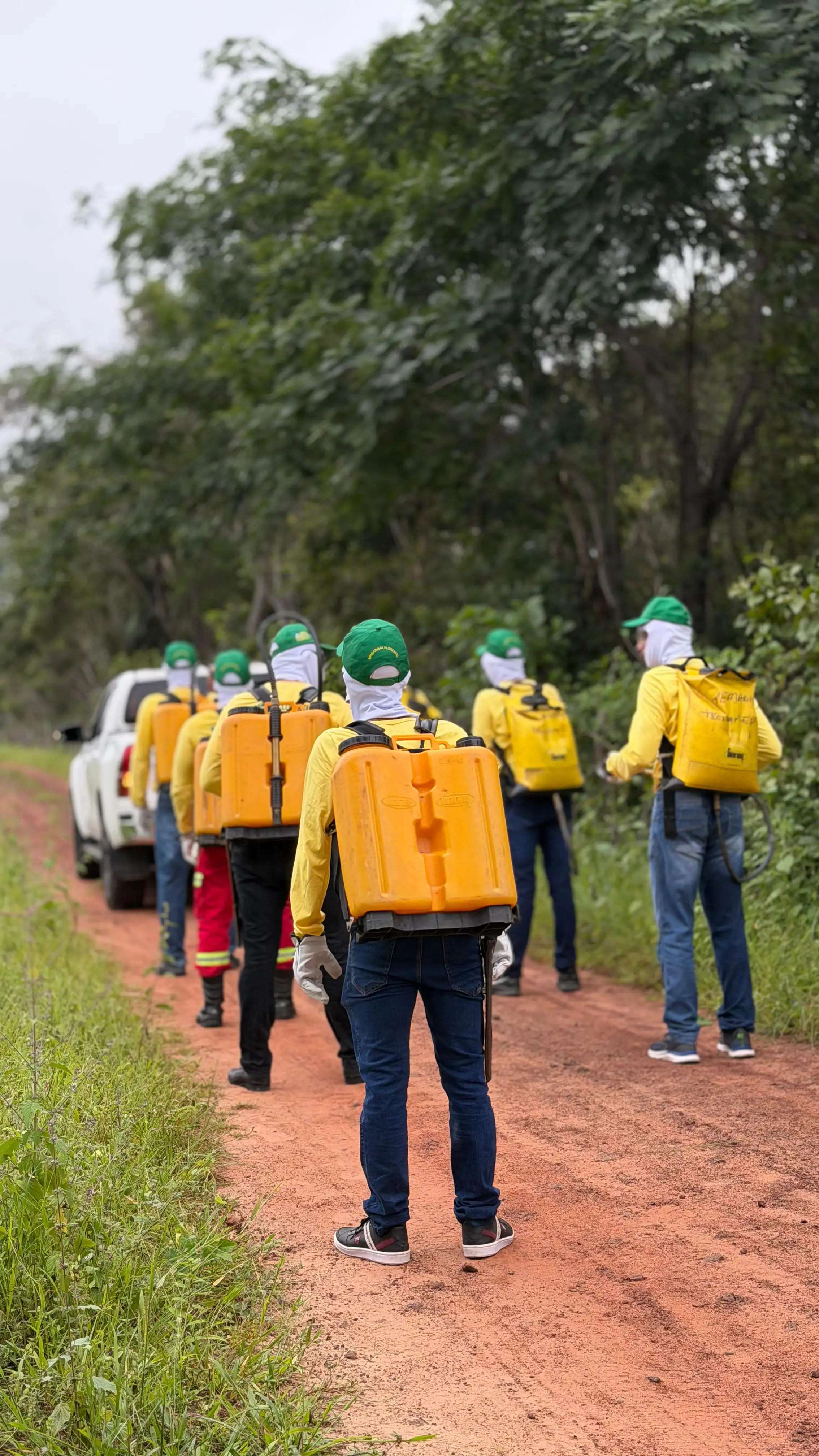 Foto 18 – Capacitação de Brigadas Florestais marca avanço na proteção ambiental em Beneditinos