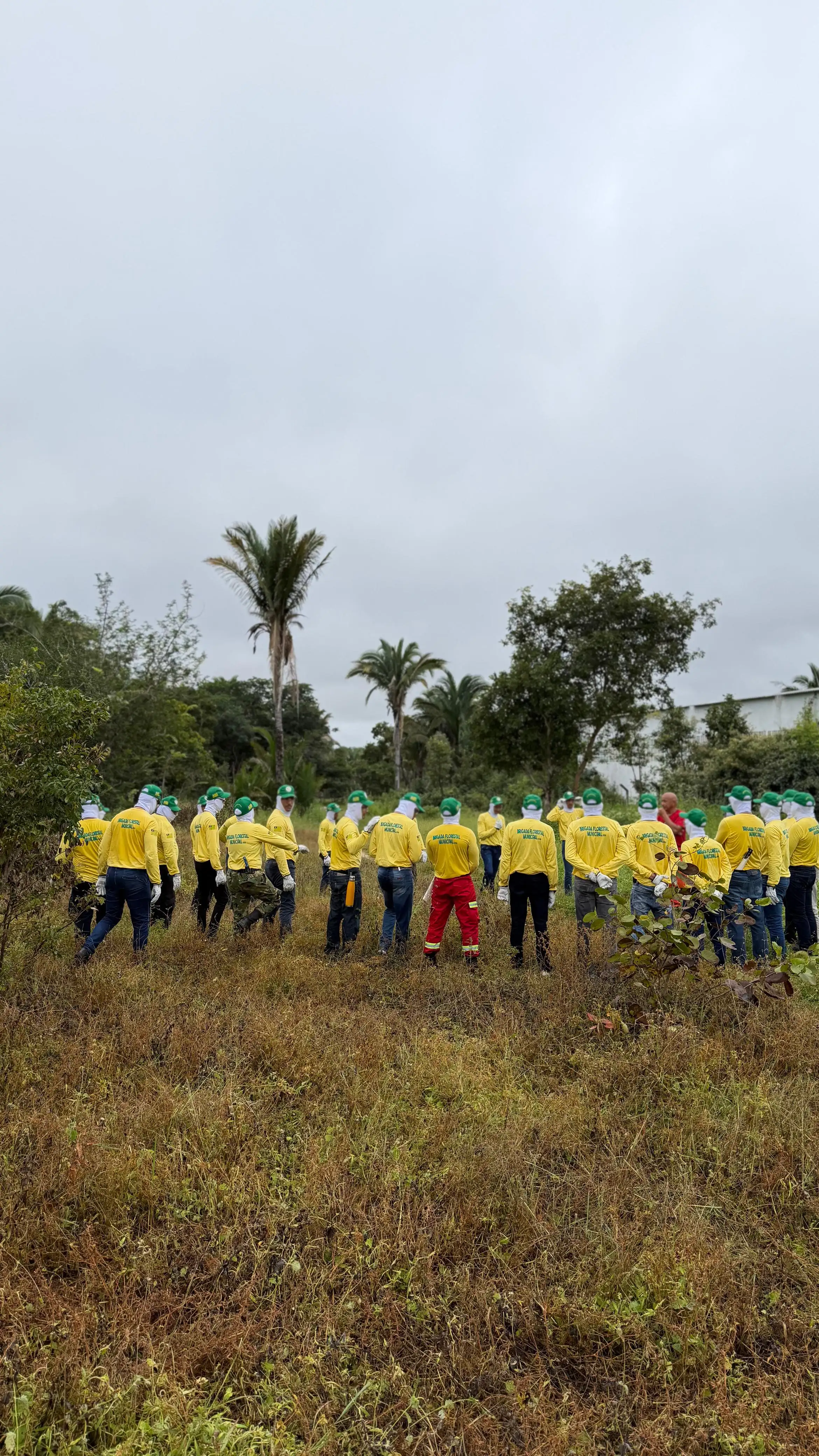 Foto 20 – Capacitação de Brigadas Florestais marca avanço na proteção ambiental em Beneditinos