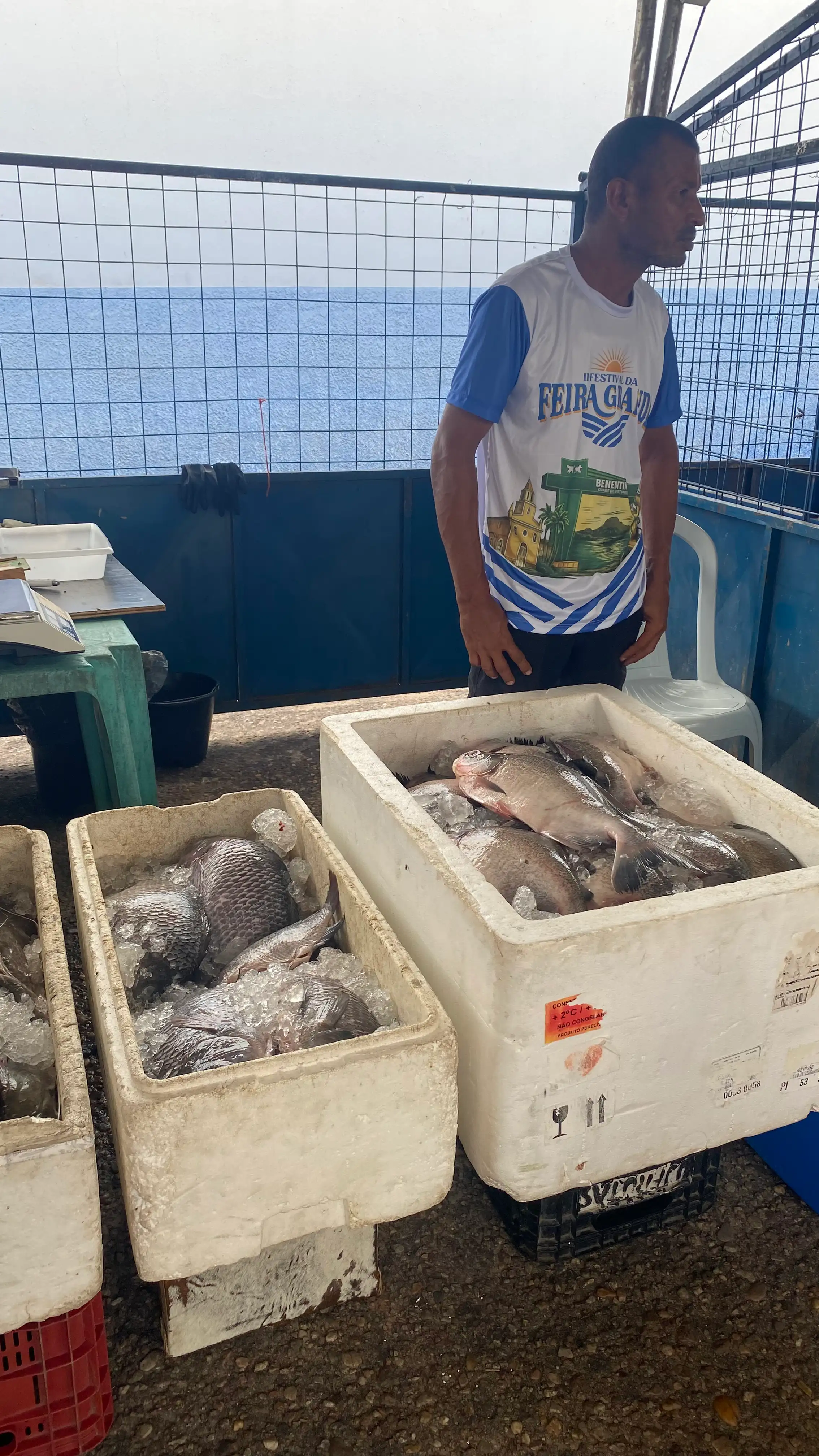 Foto 28 – Festival da Feira Grande cresce e consolida o resgate de uma tradição