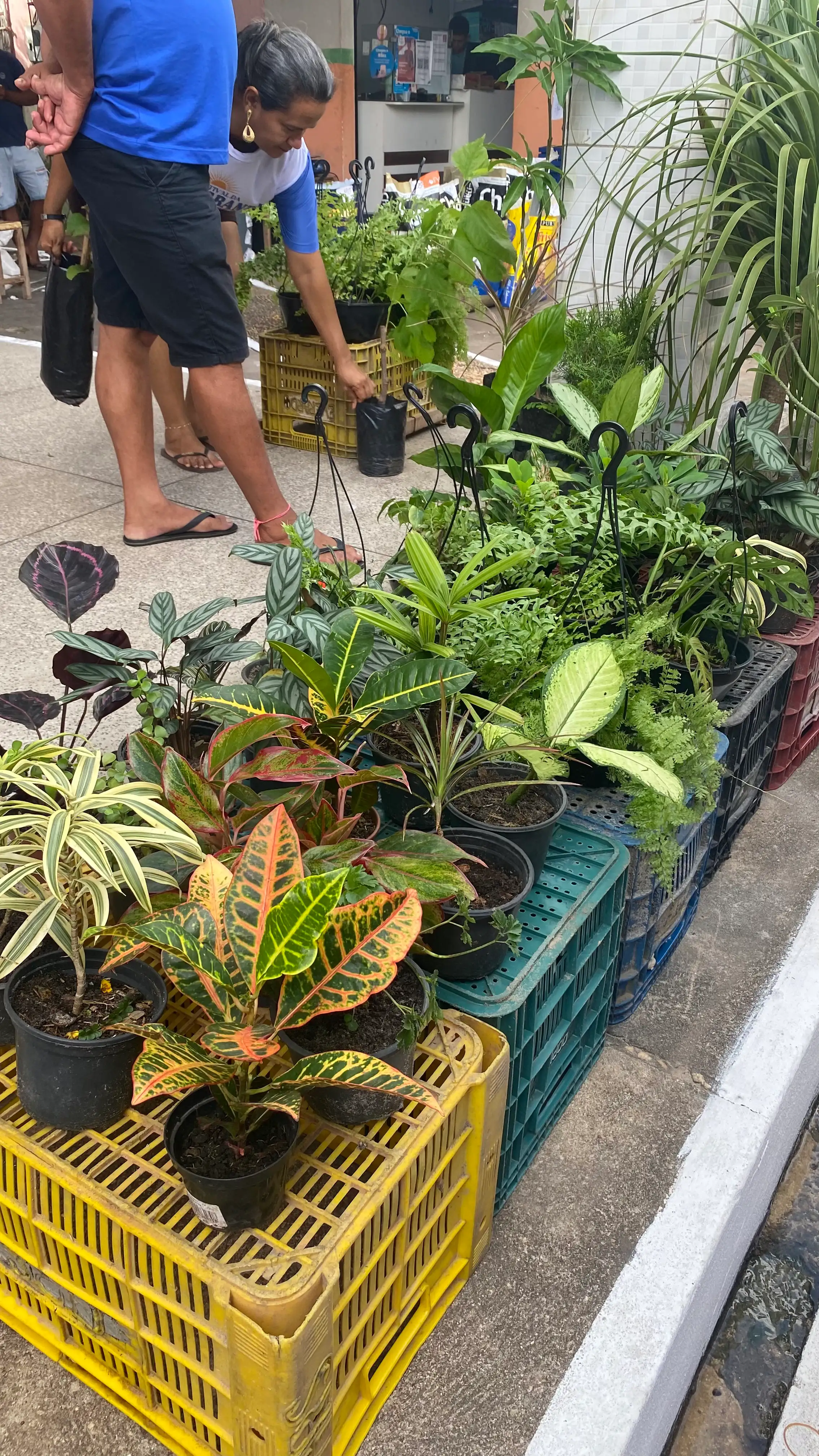 Foto 17 – Festival da Feira Grande cresce e consolida o resgate de uma tradição